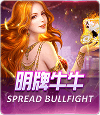 明牌牛牛棋牌v843.52