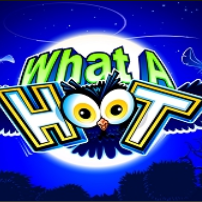 猫头鹰乐园v868.10