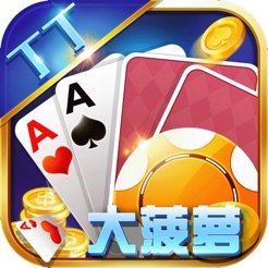 丁丁大菠萝v898.39