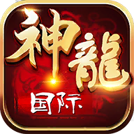 神龙国际v740.89